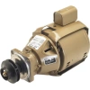 Armstrong 110116MF-305 H-54-3 LV Pump Less Volute