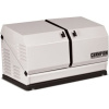 Champion 12.5kW Home Standby Generator 100136 