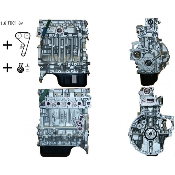 Engine Ford C Max 1.6 Tdci 8V 116 Hp T1Da T1Db