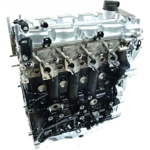 Engine Kia Rio II 1.5 TCI 110 Hp D4FA