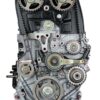 VEGE Long Block Crate Engines 531A