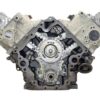 VEGE Long Block Crate Engines DDF9