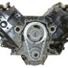VEGE Long Block Crate Engines DF13