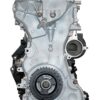 VEGE Long Block Crate Engines DFFJ