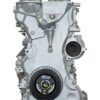 VEGE Long Block Crate Engines DFHM